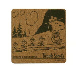 Xk[s[ pY^R[X^[~(r[OEXJEg) SNC700BSyz@:[/s/s/wszykCEE͔zBsz