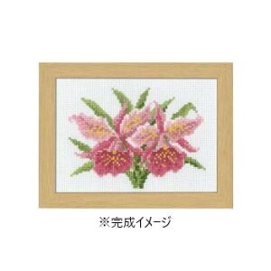 hイLbg 12P̉ԃt[`}[EJg[k RNV` 1JgA 7506y[J[FsFszykCEE͔zBsz