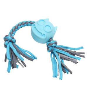 [N [v nEYvX X^[[v u[ ybgpiy[J[FsFszykCEE͔zBsz