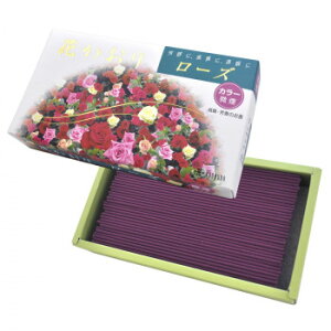 O Ԃi-Yj() o(220{)1000y[J[FsFszykCEE͔zBsz