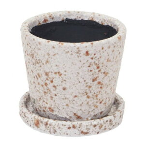 MURATAYA p`B|bg M XeBzCg 1542y[J[FsFszykCEE͔zBsz