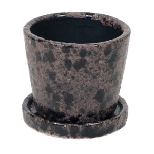 MURATAYA p`B|bg M uE 1544y[J[FsFszykCEE͔zBsz