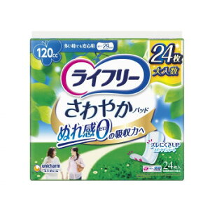 Ct[ ₩pbh łSp 24 852276y[J[FsFszykCEE͔zBsz