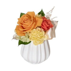 t[AW _ CG[ F-6094y[J[FsFszykCEE͔zBsz