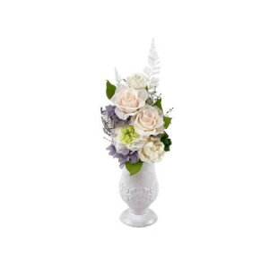 t[AW  z() F-6062y[J[FsFszykCEE͔zBsz