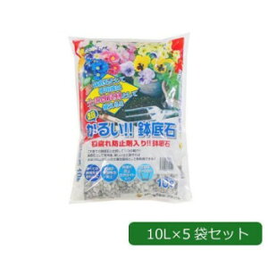 | h~ܓ 邢!! 10L×5 1451012y[J[FsFszykCEE͔zBsz