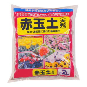 | ԋʓy 嗱 2L 20 1010211y[J[FsFszykCEE͔zBsz