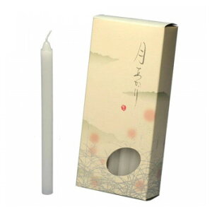 CX [\N 2 20{ 131-07y[J[FsFszykCEE͔zBsz