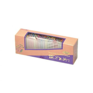 CX [\N Ԃ20 171-02y[J[FsFszykCEE͔zBsz