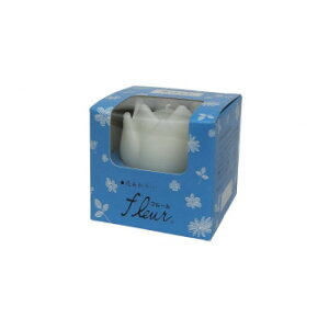 CX [\N t[(tzCg) 148-01WHy[J[FsFszykCEE͔zBsz