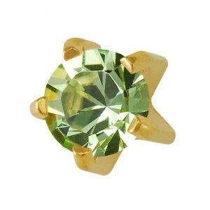 JPS セイフティピアッサー 耳用ロングタイプ ゴールドカラー(純金処理医療用ステンレス) 8月 7M108YL【メーカー直送:代金引換不可:同梱不可】【北海道・沖縄・離島は配達不可】