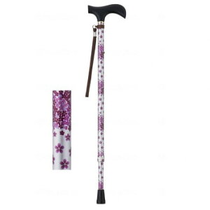 EFt@ CtXebL Lk^(X^Cv) Vo[t[ 009714y[J[FsFszykCEE͔zBsz