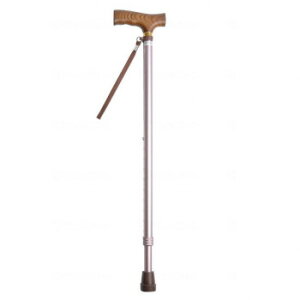 EFt@ CtXebL Lk^(x[VbN^Cv) CuE 009712y[J[FsFszykCEE͔zBsz