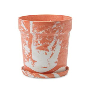 A[ovc|bg Lbg/~N 81150y[J[FsFszykCEE͔zBsz