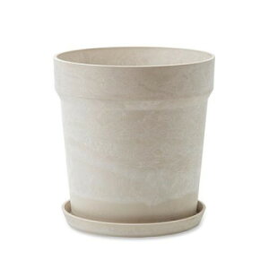 A[ovc|bg N[ 81151y[J[FsFszykCEE͔zBsz