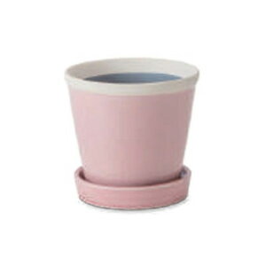 PLUS the green ObV[|bg TN 30803y[J[FsFszykCEE͔zBsz