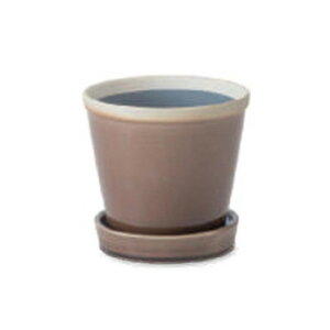 PLUS the green ObV[|bg A[X 30806y[J[FsFszykCEE͔zBsz