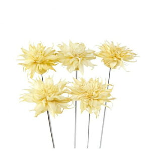 �\���t�����[ �X�e���^�C�v4 �J���[(1��/5�{) Z-0356 DAHLIA-A 6 57s1000000002�y���[�J�[�����F��������s�F�����s�z�y�k�C���E����E�����͔z�B�s�z