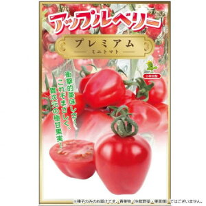 ���i�摜