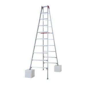 �L�k�r�� RYZ-30d 10892�y���[�J�[�����F��������s�F�����s�z�y�k�C���E����E�����͔z�B�s�z