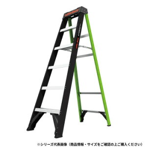 Little Giant FRP�r�� �G�[�t�H�[�X250 LG-15768 10838�y���[�J�[�����F��������s�F�����s�z�y�k�C���E����E�����͔z�B�s�z