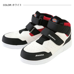 y|Cg5{zfBbL[Y Dickies Z[teB[ Xj[J[ W}WbN D-3313 [SC xgC ƌC ~hJbg c ϖ y Y ]y|CgUP:2025N111410:00`1116 23:59