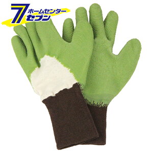 Y gQɂ GR M [|pi یE⏕ |܁ErJo[]