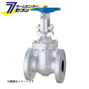 10FCL FC�v��CAC�Q�[�g�فiJIS�j 40A �i10FCL_40A�j [ �L�b�c]