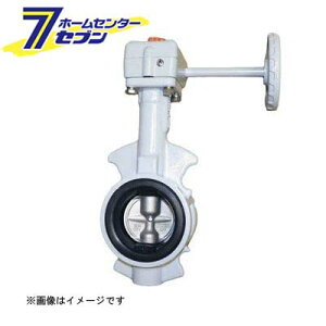 G-10FJUF FCD/FKM �o�^�t���C�فi�M�A���j 100A �iG-10FJUF_100A�j [ �L�b�c]