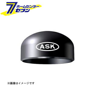  SGP nڃLbv 20A iSGPCA_20Aj [ WH}eA]