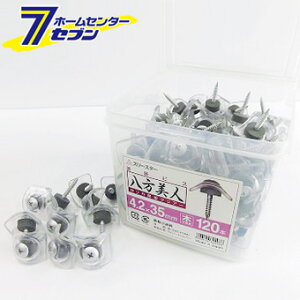 |Jg ؉np 4.2×35 NA 120{×6 O() [rX gprX B ޗp]