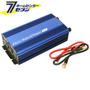 USBRZgÉ^Cv 12V1000W SIV|1000 厩H [Co[^[]