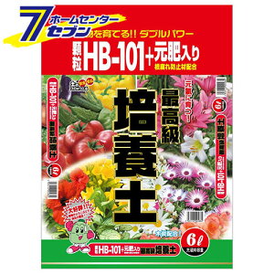 HB101|{y 6L {O[T[rX [K[fjO y]