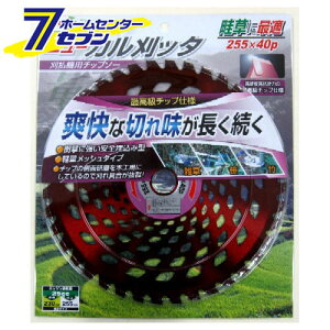 n 255x40P j[Jb^ ACEbh [@ `bv\[ ֐n]