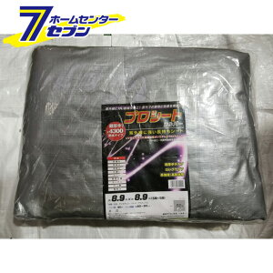 y|Cg10{zvV[g Vo[ #4300 8.9m×8.9m ~YL [W[V[g ړIV[g V[g]y|CgUP:2025N12420:00`12111:59܂Łz