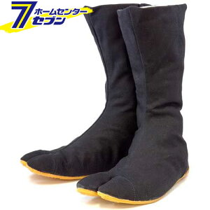 t@C^[ 12 Y(ӂ͂̑p) ubN 23.0cm ͉ [ n  n Dt ƒ ƕ [N](hc8)