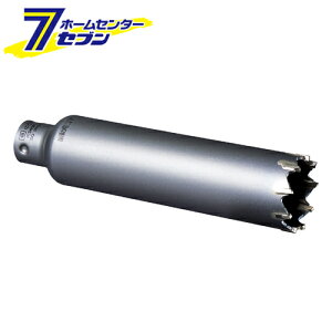 PCUpRAhJb^[ PCSW100C ~iK [[H RN[gANZT RAh]