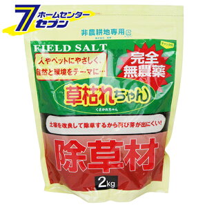 GT���̓��`���� 2kg 870369 �㓡 [�K�[�f�j���O �y �엿 ��]