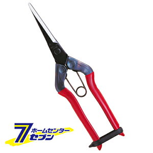 O T-570 ߐ VxX [|  n]