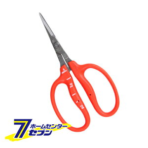 XeXuhE W B-500S ߐ VxX [| ]