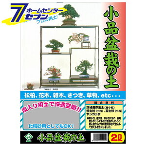 i~̓my 2L {O[T[rX [K[fjO y]