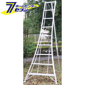 A~|Or 9 KWX270 ACR [|  Or Ƒ]