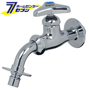 @p 701-900-13 JN_C [pi p[c]