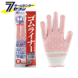  SCi[ sN M Y [S Ǝ ƕ ƒ [N]