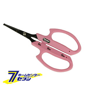 y|Cg5{zۃtbfuhE B-6 T{e [|  n]y|CgUP:2025N111410:00`1116 23:59܂Łz