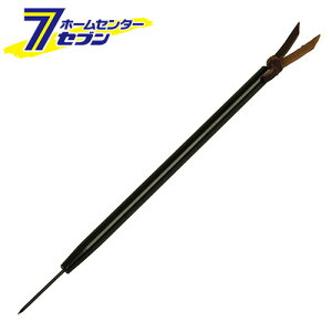 }CNiCt PNM-9 }M Y [ƍH cSe H]