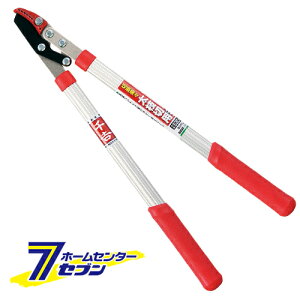 pCv~j} SGFL-1 Y [|  }]