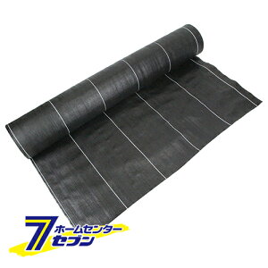 xhV[g  1M×50M Y [ |pi |_Ǝ сEՌlbg ZteB[3]