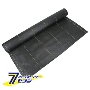 xhV[g  1M×20M Y [ |pi |_Ǝ сEՌlbg ZteB[3]