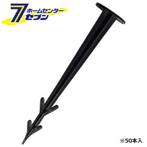 V[g 50P 11cm Y [ |pi |_Ǝ сEՌlbg]